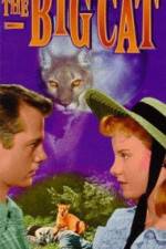 Watch The Big Cat M4ufreemovies