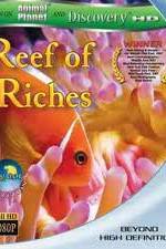 Watch Equator Reefs of Riches M4ufreemovies