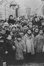 Watch AUSCHWITZ: LIBERATION AND REVENGE M4ufreemovies