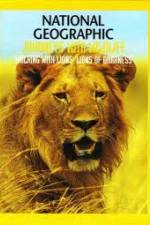 Watch National Geographic: Walking with Lions M4ufreemovies