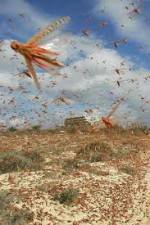 Watch Swarm Chasers: Locusts M4ufreemovies