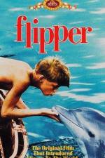 Watch Flipper M4ufreemovies