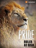 Watch Pride - Ruler\'s at Risk M4ufreemovies