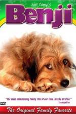 Watch Benji M4ufreemovies