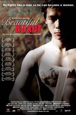 Watch Beautiful Boxer M4ufreemovies