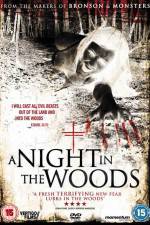 Watch A Night in the Woods M4ufreemovies