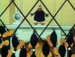 Watch Cracked Quack (Short 1952) M4ufreemovies