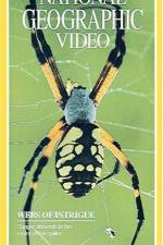 Watch National Geographic's Webs of Intrigue M4ufreemovies