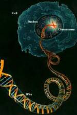 Watch Horizon: Miracle Cure? A Decade of the Human Genome M4ufreemovies