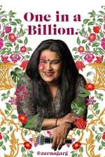 Watch Zarna Garg: One in a Billion M4ufreemovies