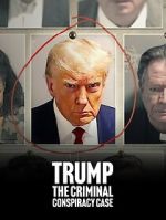Watch Trump: The Criminal Conspiracy Case M4ufreemovies