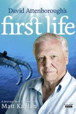 Watch First Life M4ufreemovies