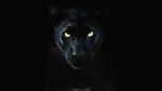Watch The Real Black Panther (Short 2020) M4ufreemovies