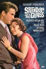 Watch Splendor in the Grass M4ufreemovies