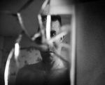 Watch Remember Me, My Ghost (Short 2011) M4ufreemovies