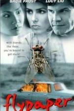 Watch Flypaper M4ufreemovies