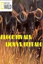 Watch National Geographic - Blood Rivals: Lion vs. Buffalo M4ufreemovies