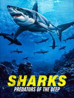 Watch Sharks: Predators of the Deep M4ufreemovies