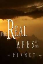 Watch The Real Apes of the Planet M4ufreemovies