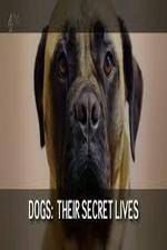 Watch Dogs: Their Secret Lives M4ufreemovies
