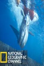 Watch National Geographic Shark Men Surfs Up M4ufreemovies