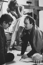 Watch The Man Who Shot the 60s M4ufreemovies