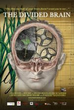 Watch The Divided Brain M4ufreemovies