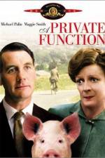 Watch Svinaktiga affärer M4ufreemovies