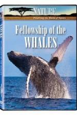Watch Fellowship Of The Whales M4ufreemovies