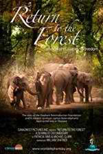 Watch Return to the Forest M4ufreemovies