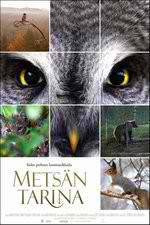 Watch Tale of a Forest M4ufreemovies