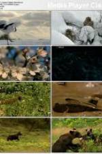 Watch National Geographic: Japans Hidden Secrets M4ufreemovies