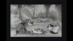 Watch Bosko\'s Dog Race M4ufreemovies