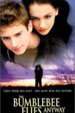 Watch The Bumblebee Flies Anyway M4ufreemovies