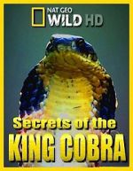 Watch Secrets of the King Cobra M4ufreemovies