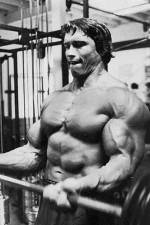 Watch The Comeback M4ufreemovies