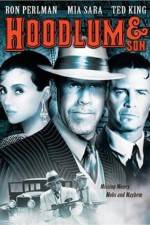 Watch Hoodlum & Son M4ufreemovies