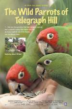 Watch The Wild Parrots of Telegraph Hill M4ufreemovies