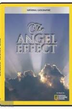 Watch National Geographic Explorer - The Angel Effect M4ufreemovies