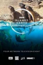 Watch Planet Earth: A Celebration M4ufreemovies