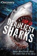 Watch National Geographic Worlds Deadliest Sharks M4ufreemovies