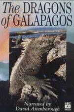 Watch The Dragons of Galapagos M4ufreemovies