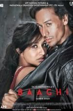 Watch Baaghi M4ufreemovies