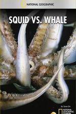 Watch National Geographic Wild - Squid Vs Whale M4ufreemovies
