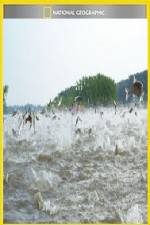Watch National Geographic Hooked Carp Invasion M4ufreemovies