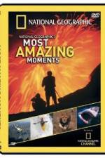 Watch National Geographic's Most Amazing Moments M4ufreemovies