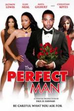 Watch The Perfect Man M4ufreemovies