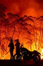 Watch Fire Fight Australia M4ufreemovies