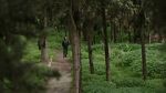 Watch My Tree M4ufreemovies