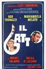 Watch Il gatto M4ufreemovies